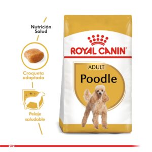 Royal Canin Poodle Caniche Adulto 7.5 KG
