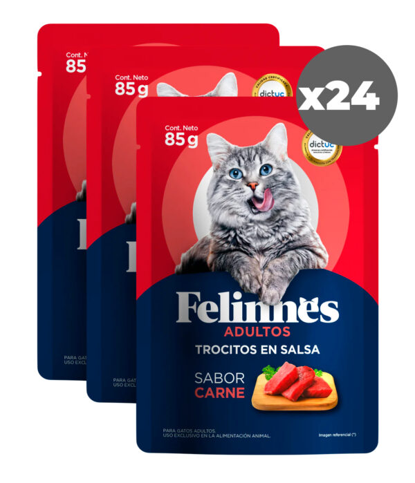Sachet Felinnes Premium Sabor Carne 85 GR 24 Unidades