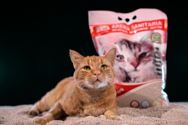 Display Arena Vip Cat Café 4x5 KG Aglutinante - Imagen 2