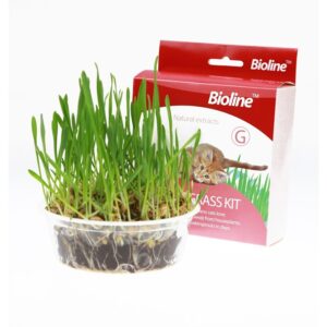 Bioline Cat Catnip Grass Kit 12g Pasto para Gatos