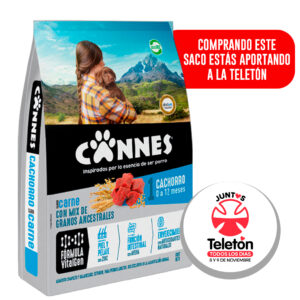 Alimento Perro Cannes Cachorro Carne 3 KG