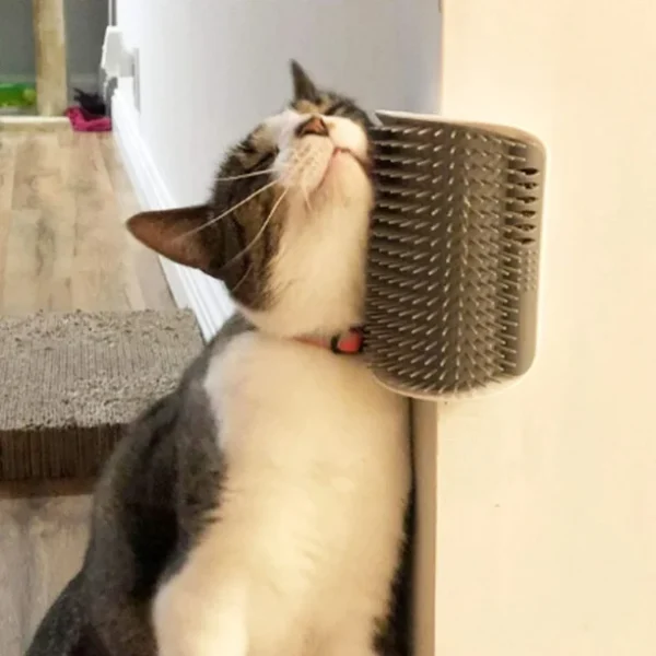 Cepillo Masajeador Gatos Hierba Gatera Catnip (63222) - Imagen 5