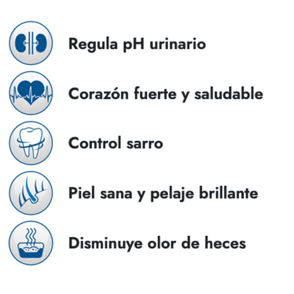 Fit Fórmula Gato 10 KG - Imagen 2