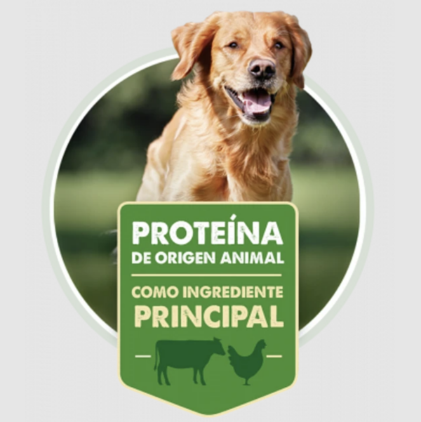 Nómade Perro Adulto 20 KG - Imagen 2