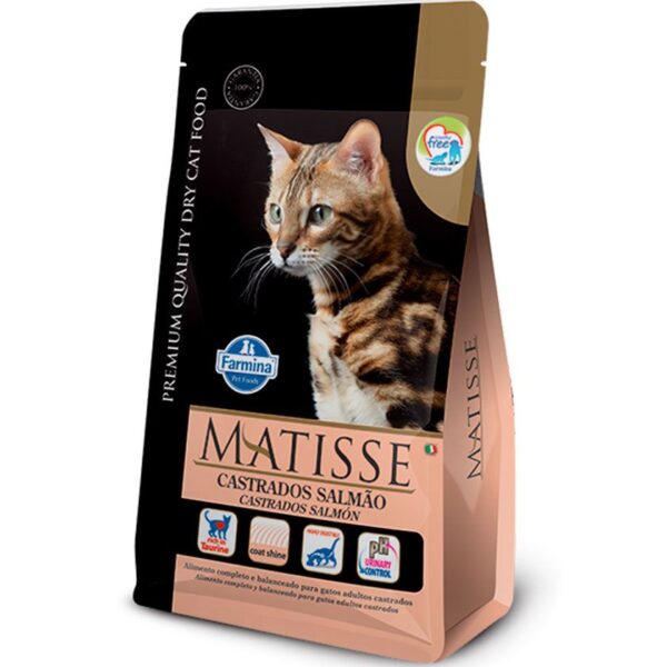 Matisse Castrado Salmón 2 KG