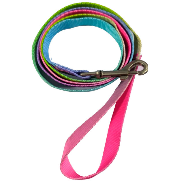Pechera Arnés con Correa Reforzada Arcoiris Talla M (2024-6) - Imagen 2