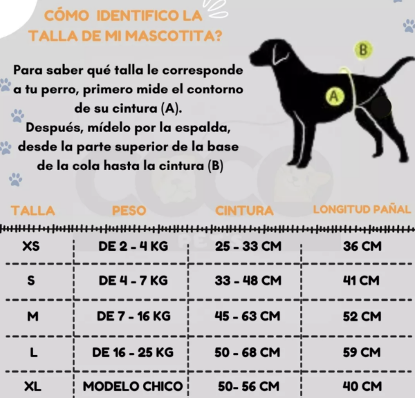 Pañal Para Perros Talla S Soft Care - Imagen 3