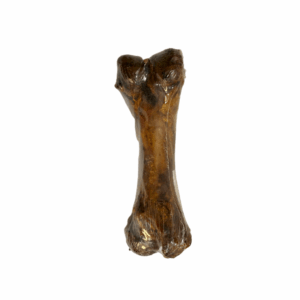 Femur de Cerdo Pets Friends (I09550)