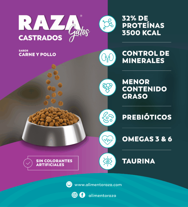 Raza Gato Castrado 10 KG Rico en Omega 3 - Imagen 2