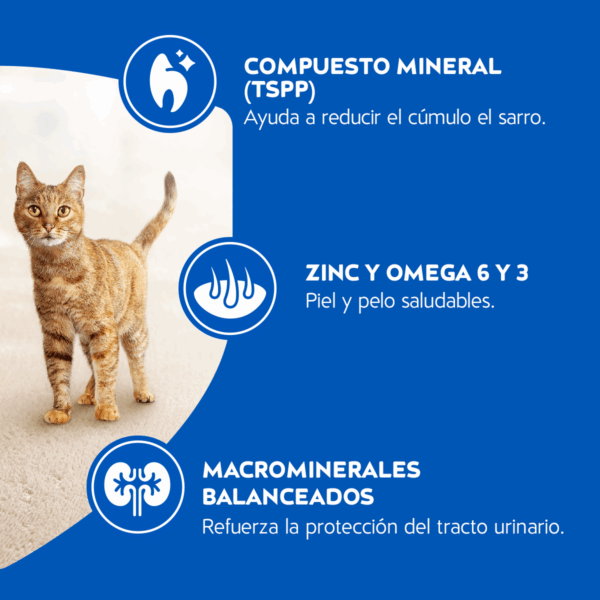 Cat Chow Delimix 19,5 KG - Imagen 6