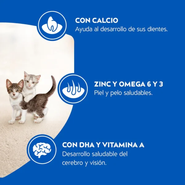 Cat Chow Gatito 19.5 KG - Imagen 2