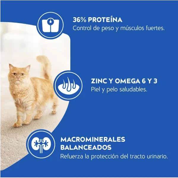 Cat Chow Gatito 19.5 KG - Imagen 3