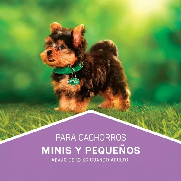 Dog Chow Cachorro Razas Pequeñas 19.5 KG - Imagen 2